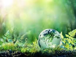 Eco friendly cleaning.