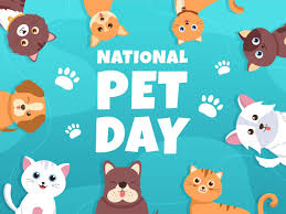 pet day 