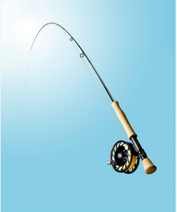 fishing rod